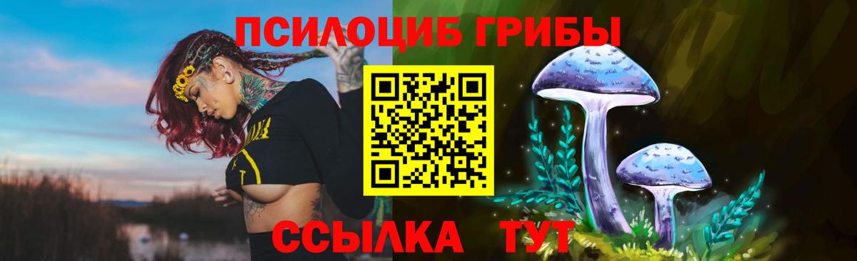 Галлюциногенные грибы ЛСД Тейково